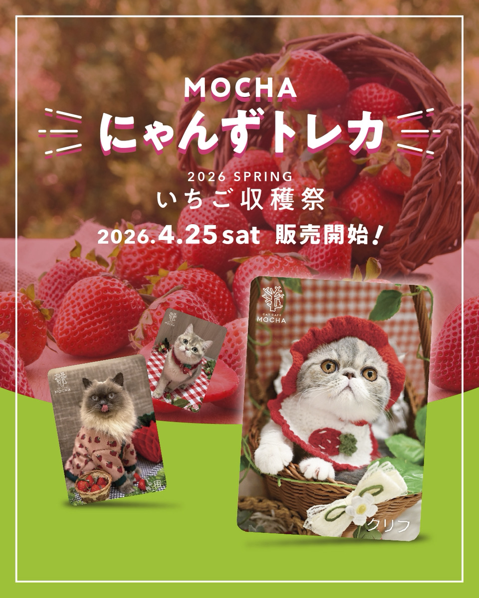 大人気！にゃんずトレカ春バージョン発売！