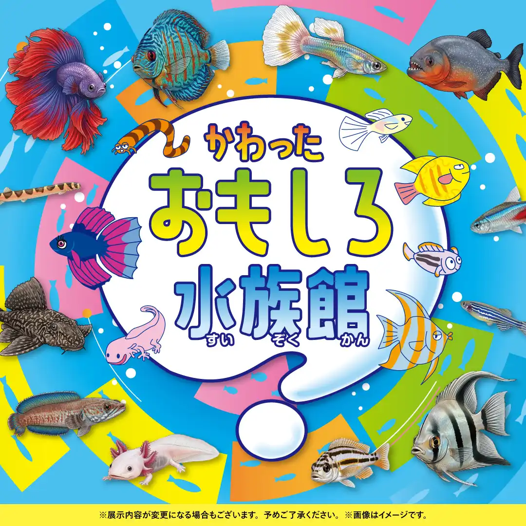 かわった おもしろ水族館