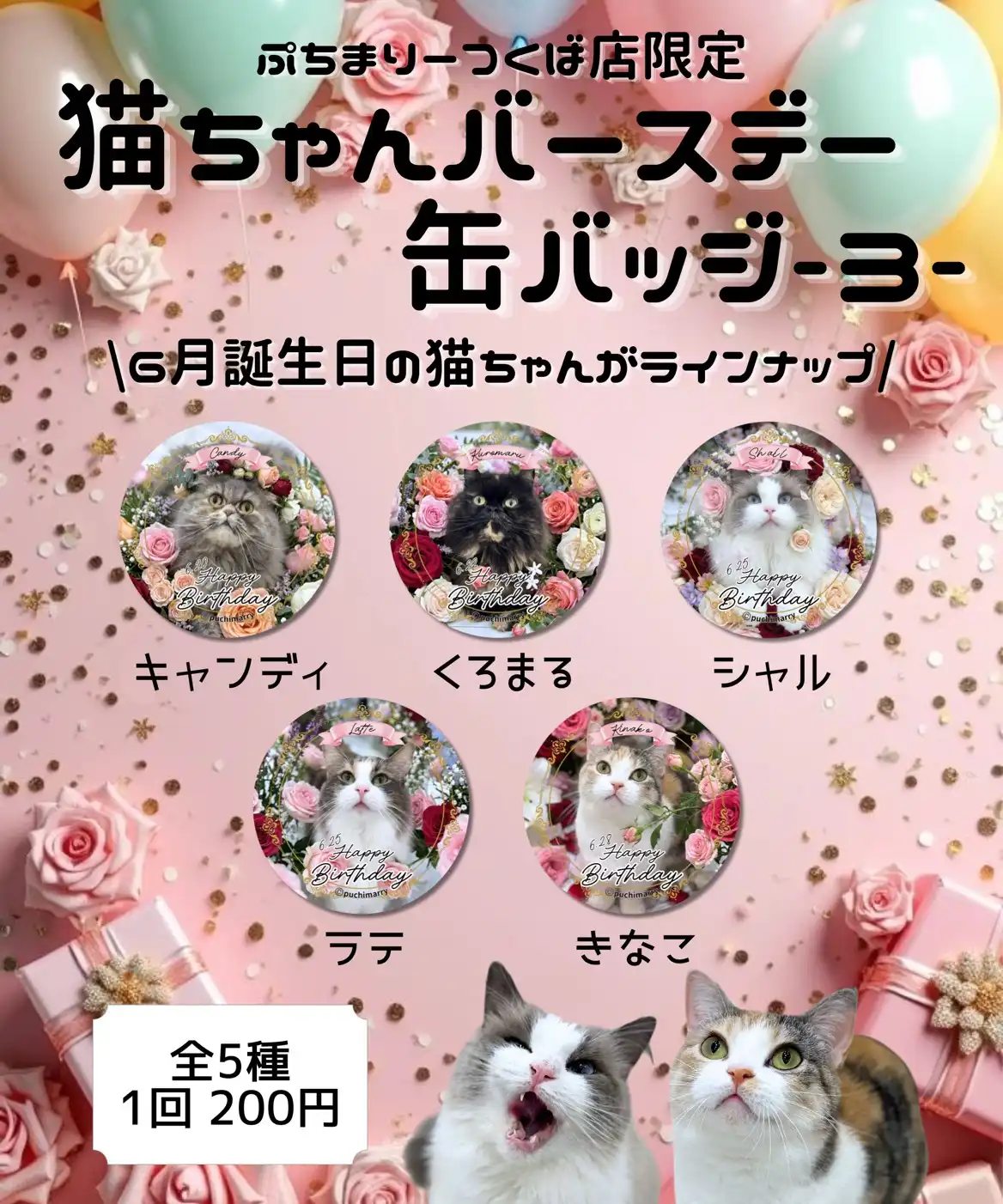 猫ちゃんバースデー缶バッジ販売中!
