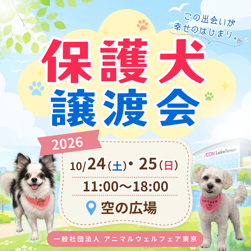 保護犬譲渡会