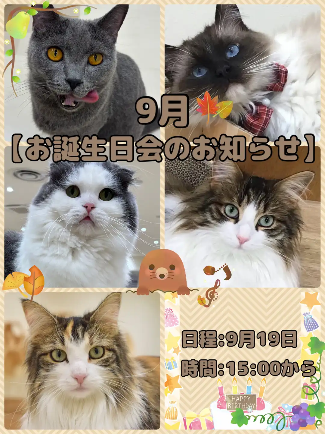 9月のネコちゃんお誕生日会開催！