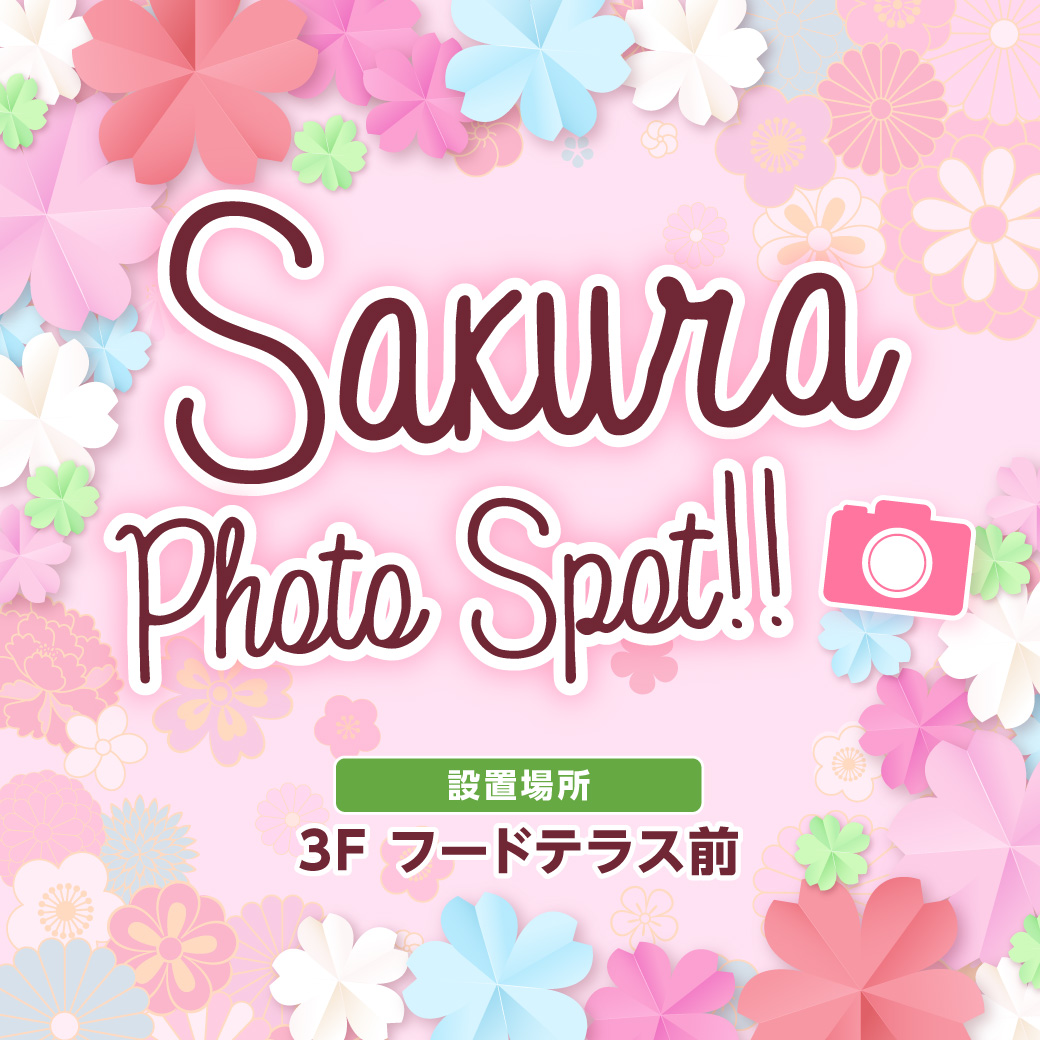 桜のフォトスポットが登場！！ 