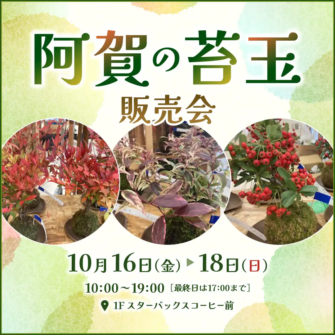 阿賀の苔玉販売会
