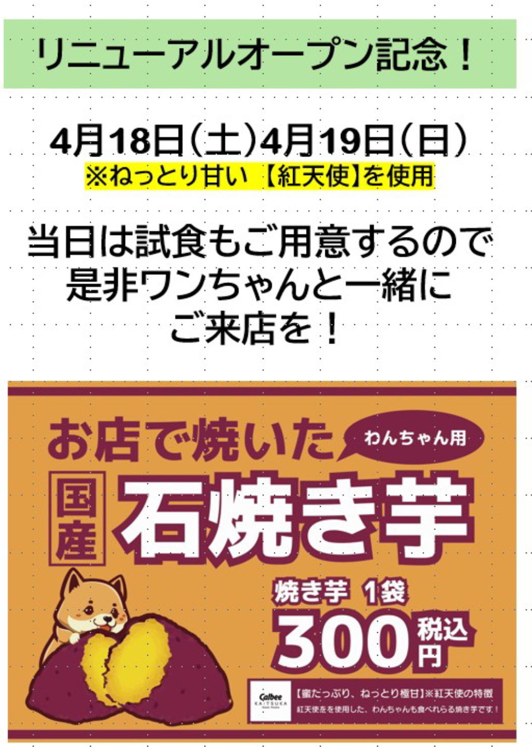 【国産】紅天使石焼き芋販売イベント