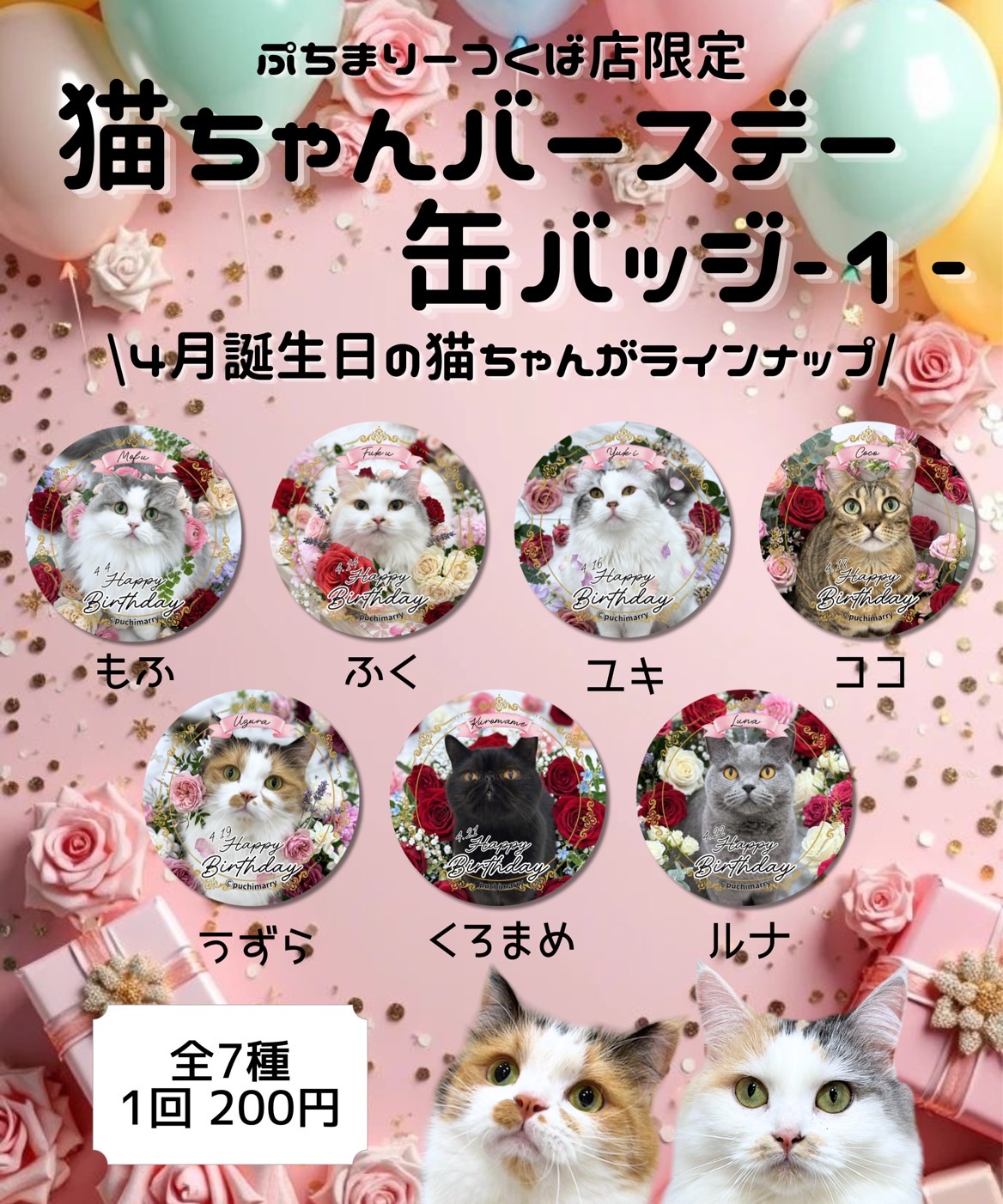 4月生まれ猫ちゃん誕生日缶バッジ販売中！