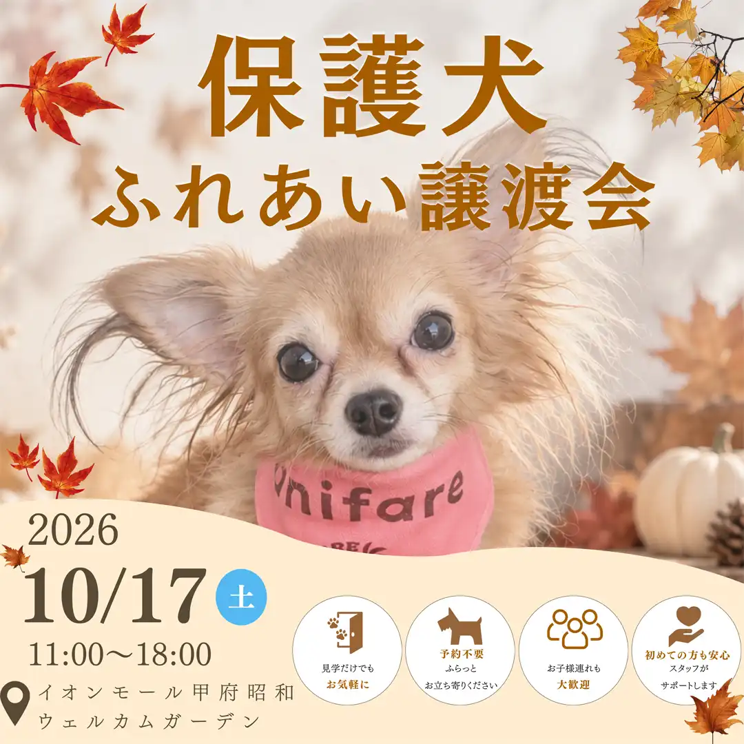 保護犬ふれあい譲渡会