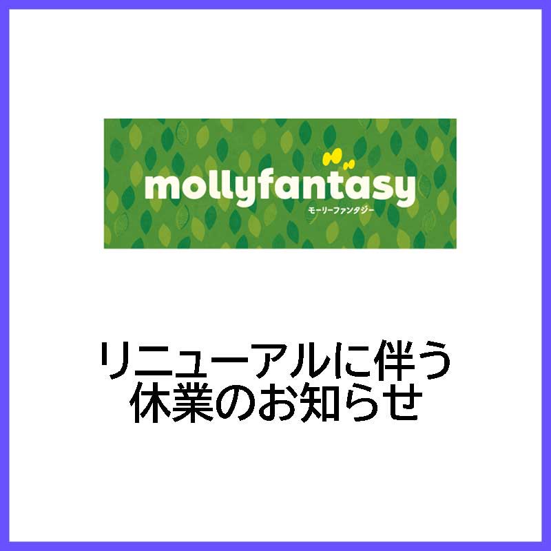 【モーリーファンタジー】リニューアルに伴う休業のお知らせ