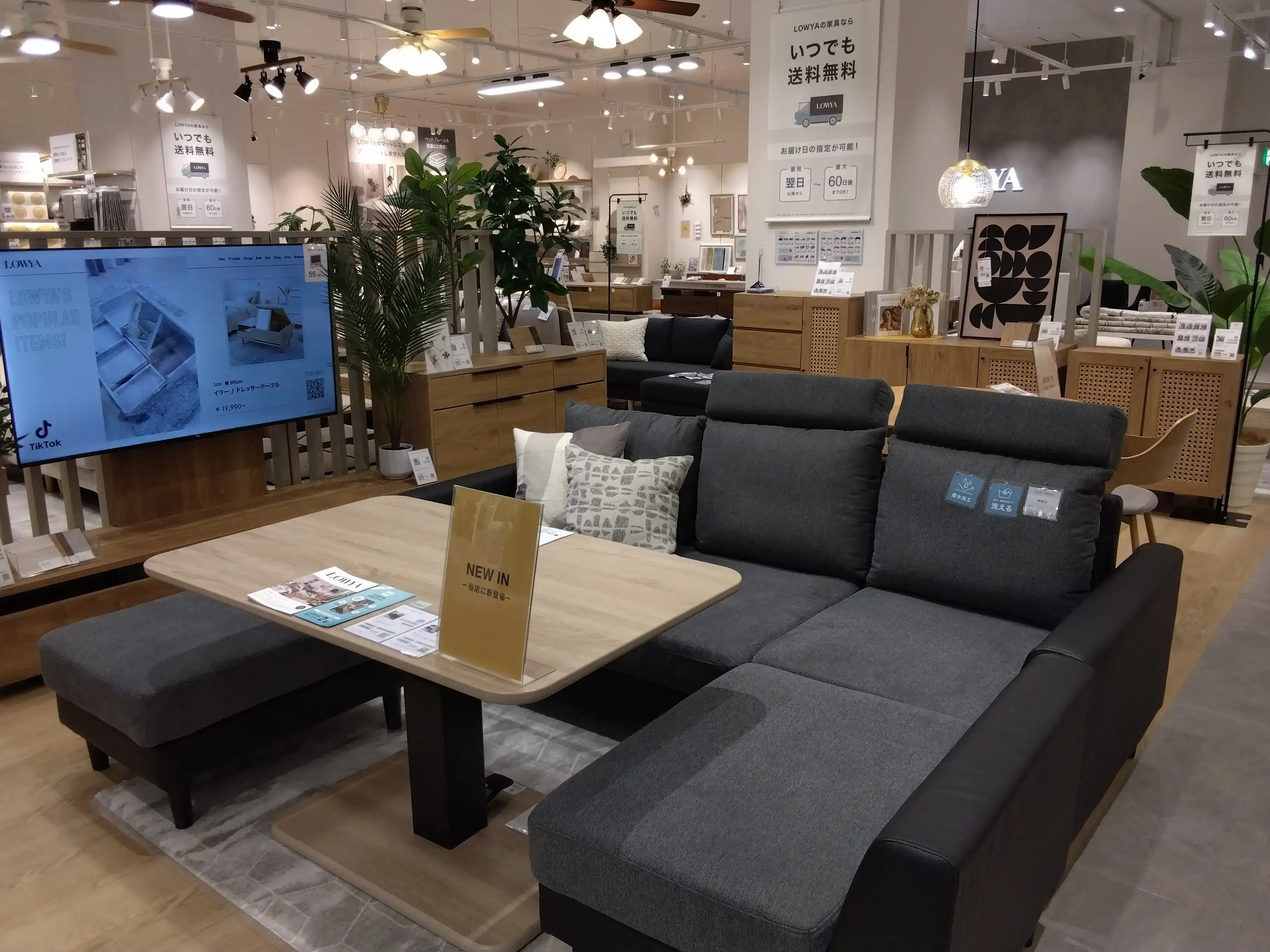 New in! 店舗に新しく展示されました！