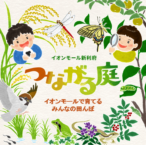 田んぼでお米を育てよう！田植え＆いきもの観察