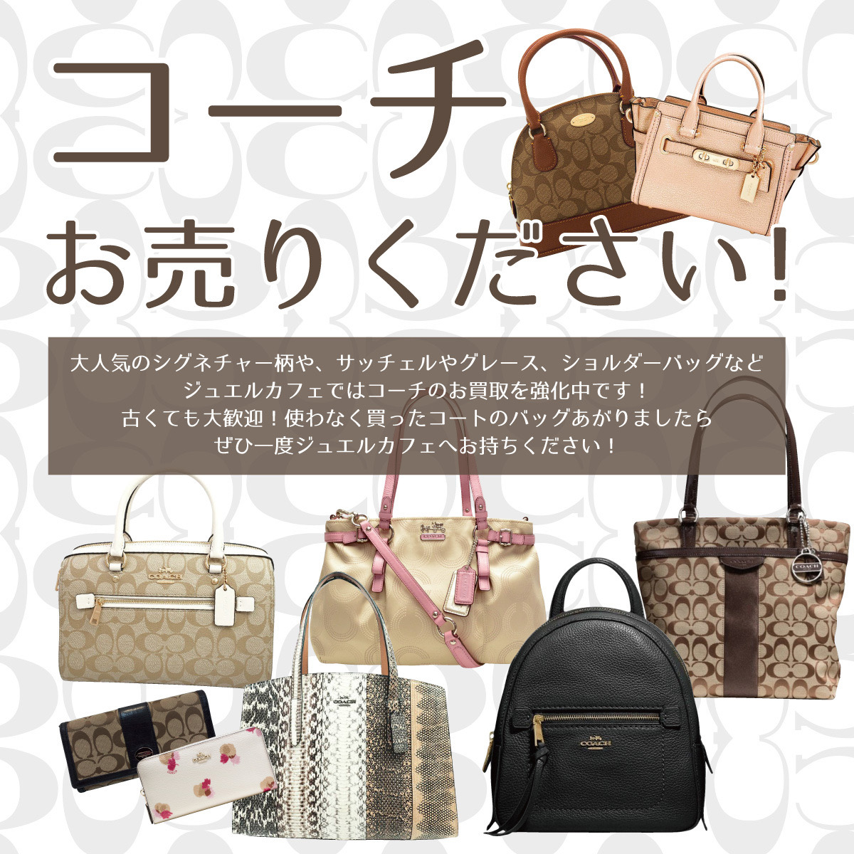 コーチ買取強化！！