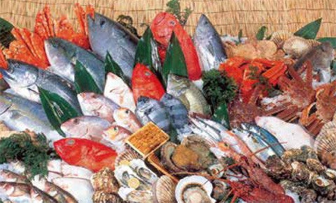 魚力