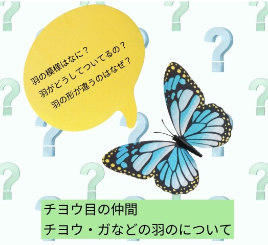“いきもの教室“”オンライン講座体験会の開催決定！