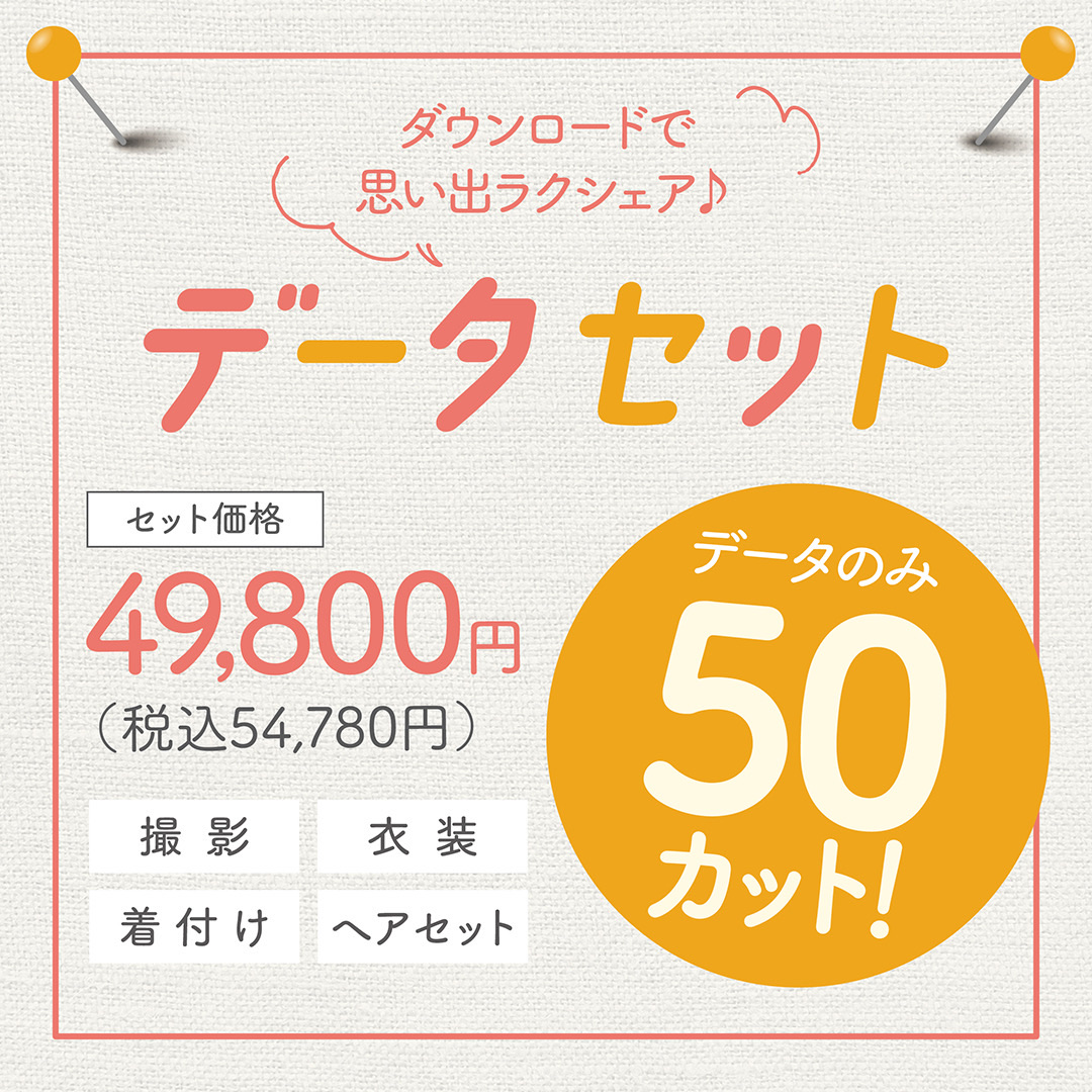 ◇データセット◇