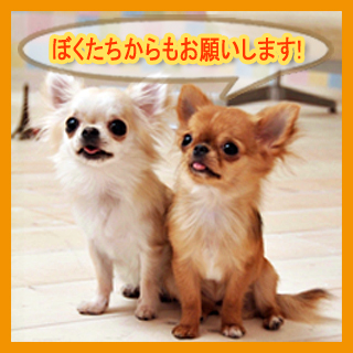 ペテモへご来店のお客さまへのお願い