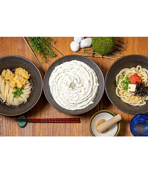 山下本気うどん
