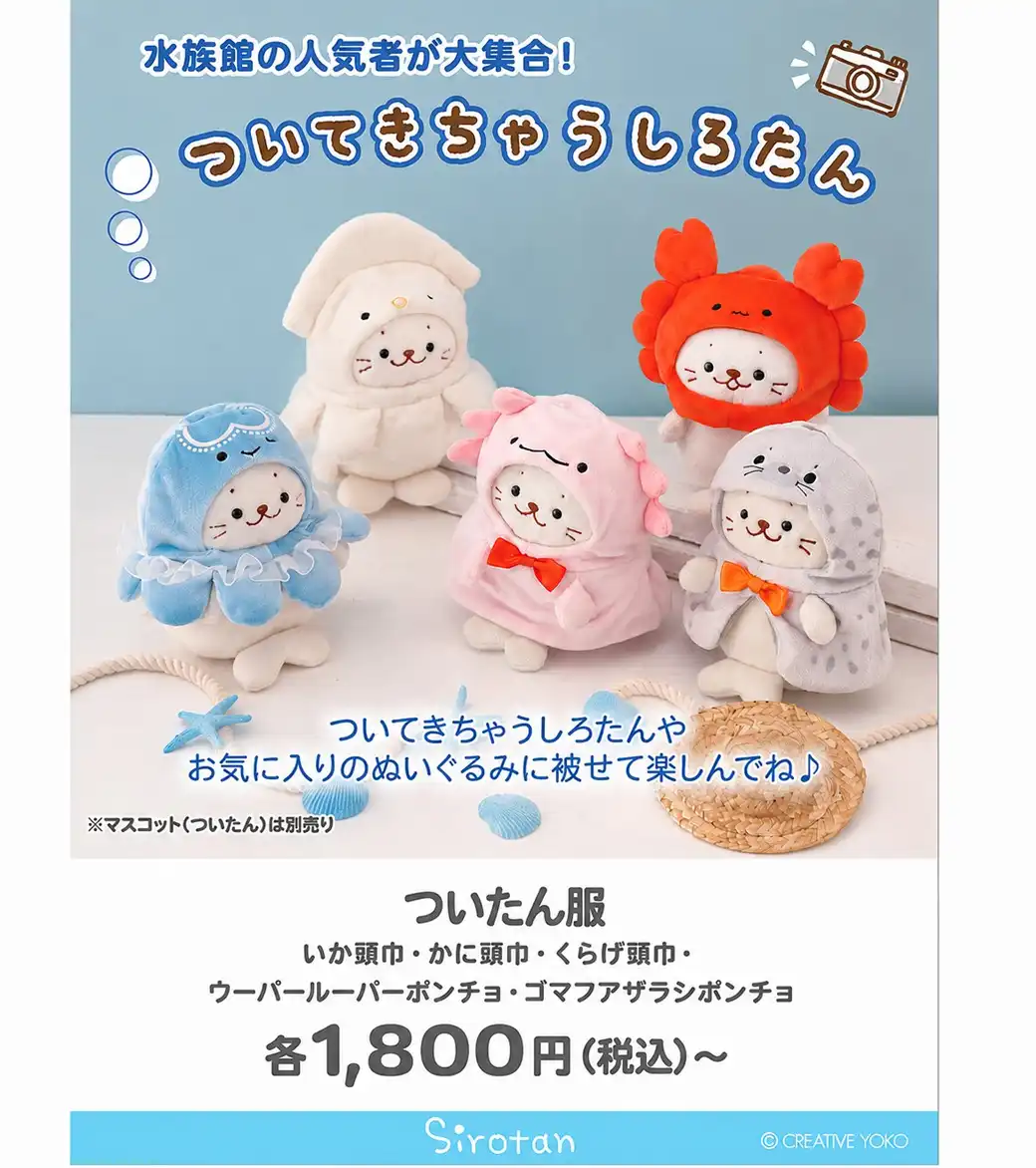 しろたんのついたん服、再入荷しました！