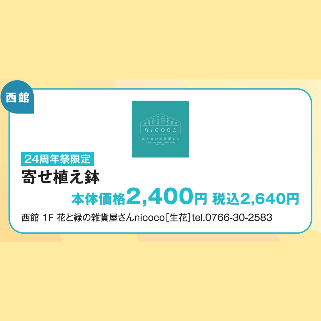 SALE＿nicoco