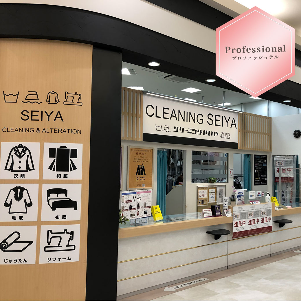 Professional ─プロフェッショナル─