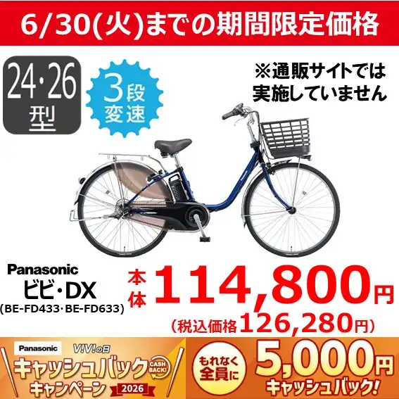 【6/30(火)までの期間限定価格】