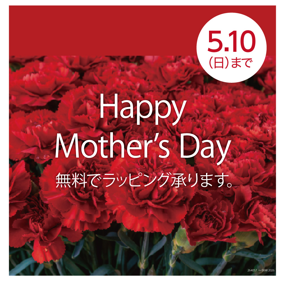 N+ 母の日｜想いが伝わる無料ラッピングキャンペーン実施中