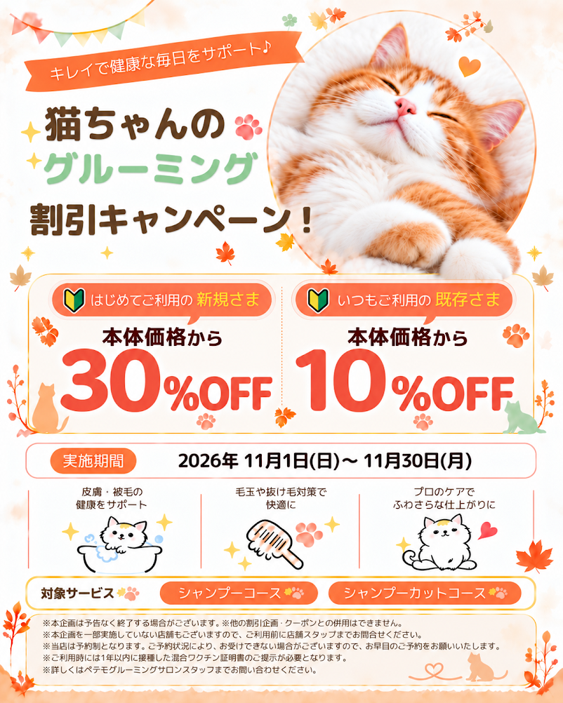 【11月限定】猫ちゃんのグルーミング割引キャンペーン開催♪