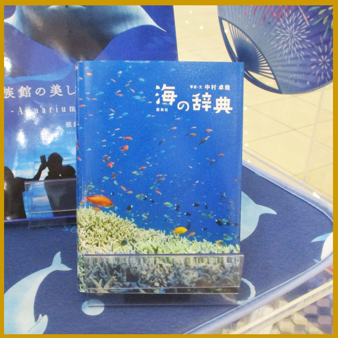 海の辞典