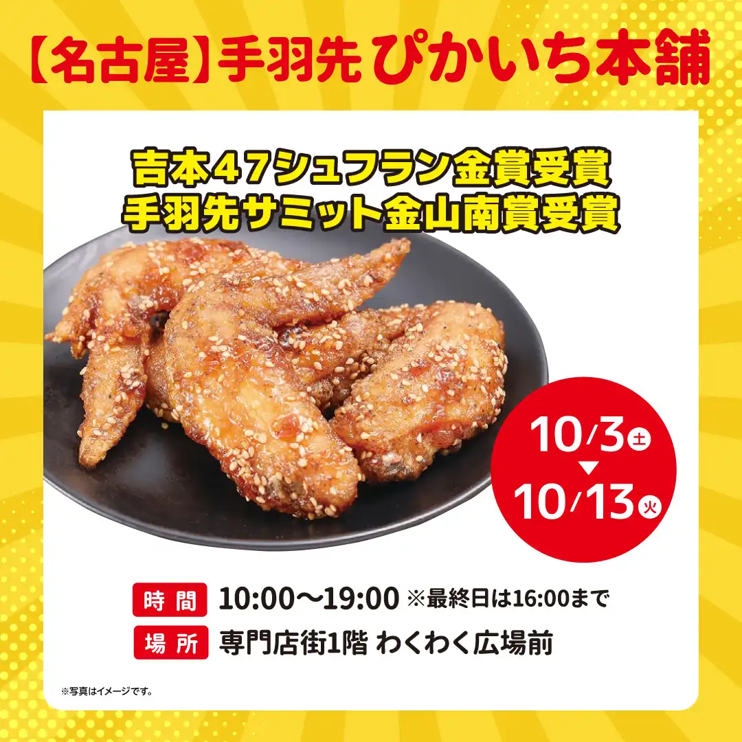 【名古屋】手羽先　ぴかいち本舗