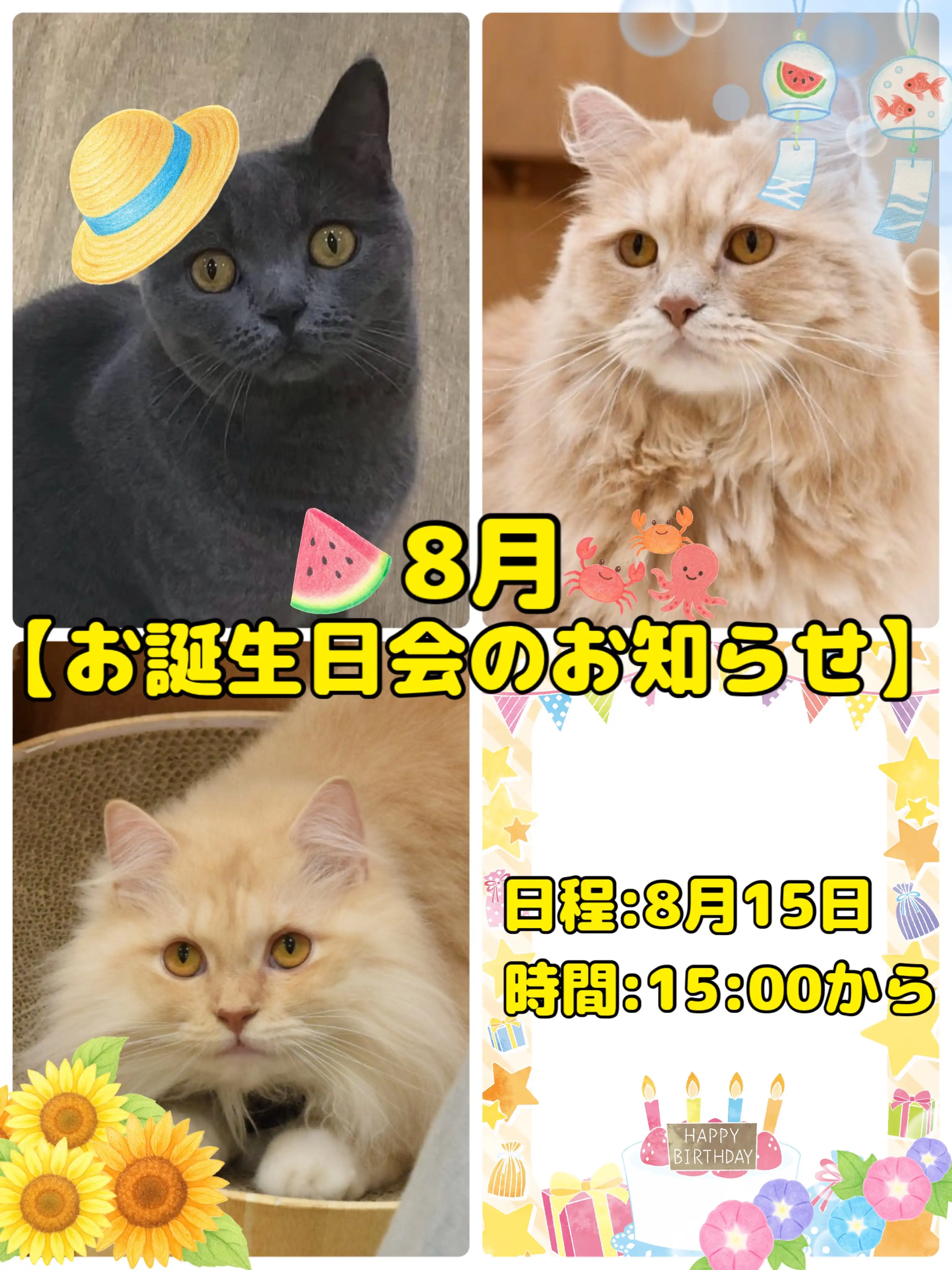 8月のネコお誕生日会のお知らせ