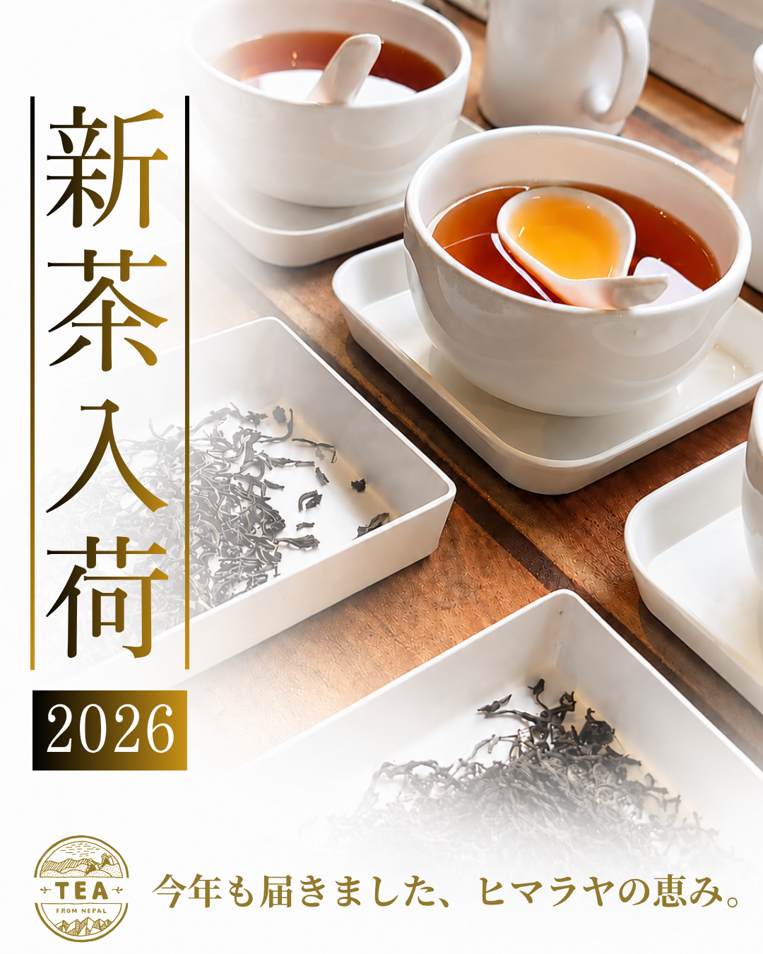 紅茶ページ ニュース｜【新茶入荷】2026年 セカンドフラッシュ イラム紅茶｜イオン