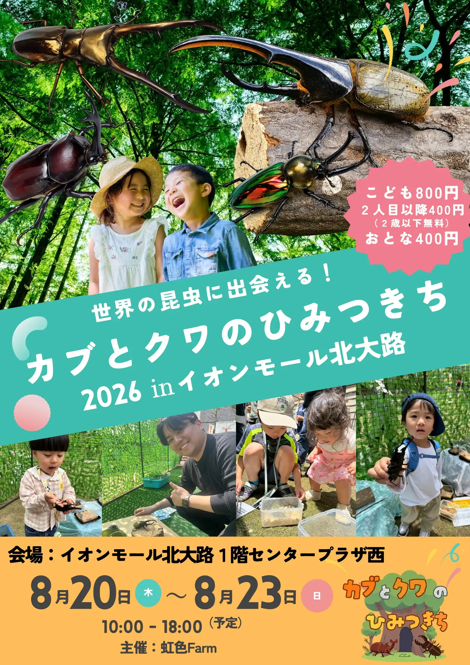 カブとクワのひみつきち2026 ㏌ イオンモール北大路