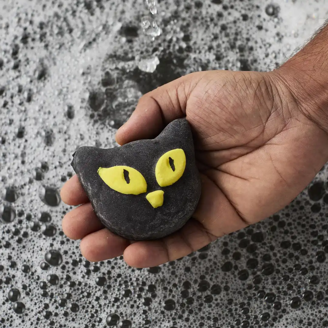 幸運を運ぶ黒猫も大喜び