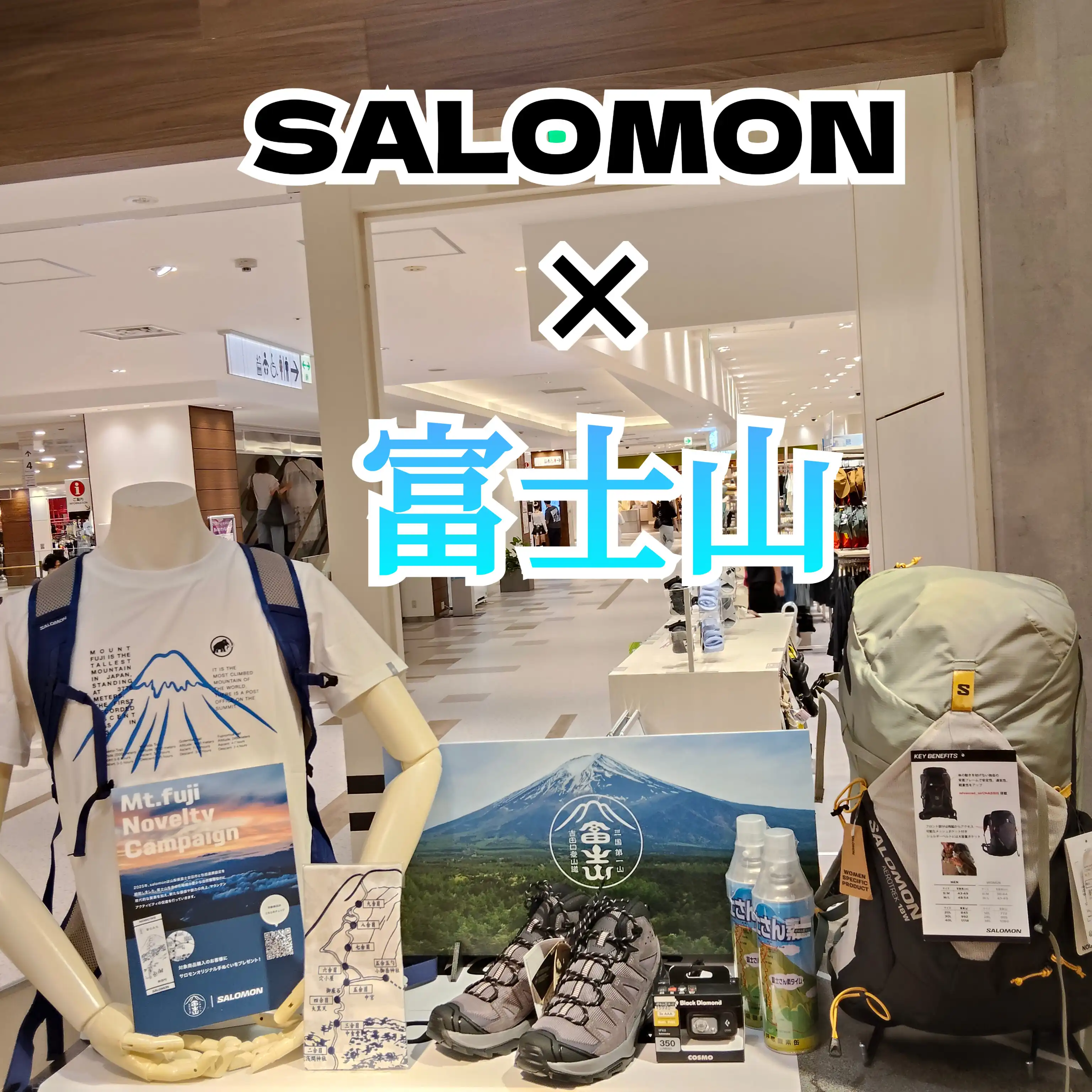 SALOMON　×　富士山！ 