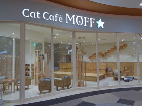 Cat Cafe MOFF