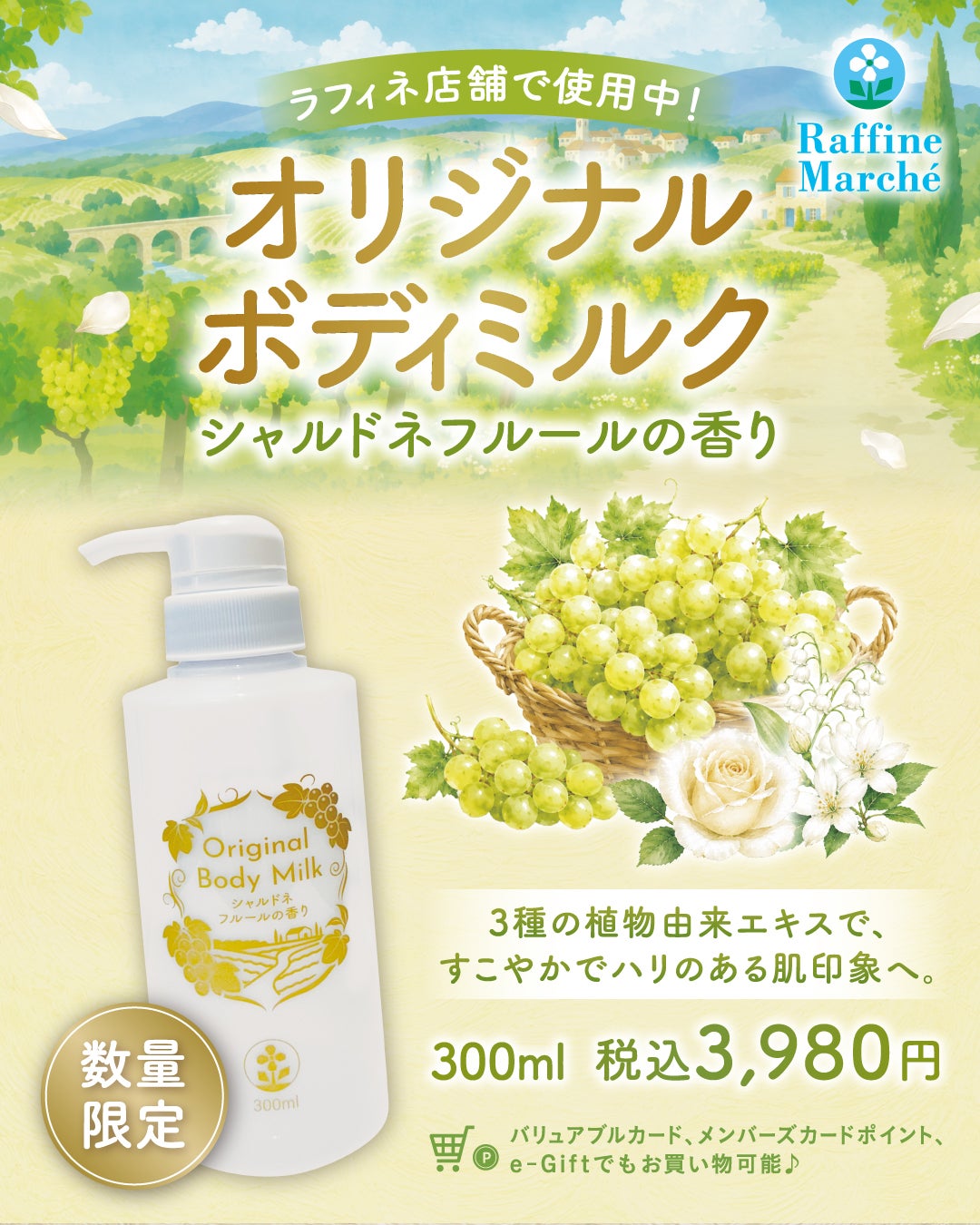 【上尾】孫の日ギフト_ラフィネ