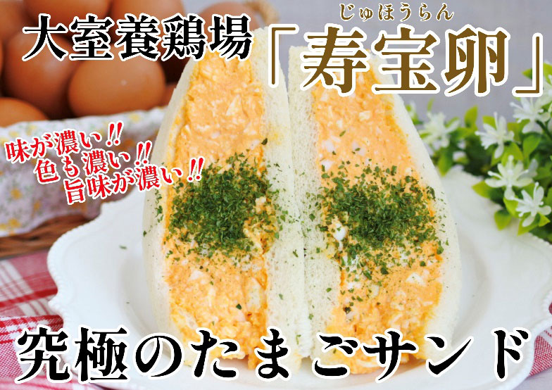 【大好評につき再登場】栃木県発　メディアで話題のサンドウィッチ店イートミーサンド催事