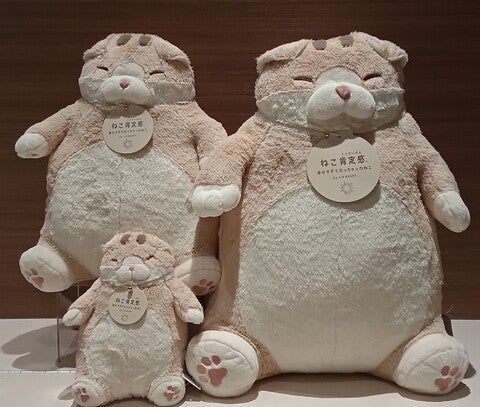ショップ｜CHELSEA New York｜イオンモール Nagoya Noritake Garden