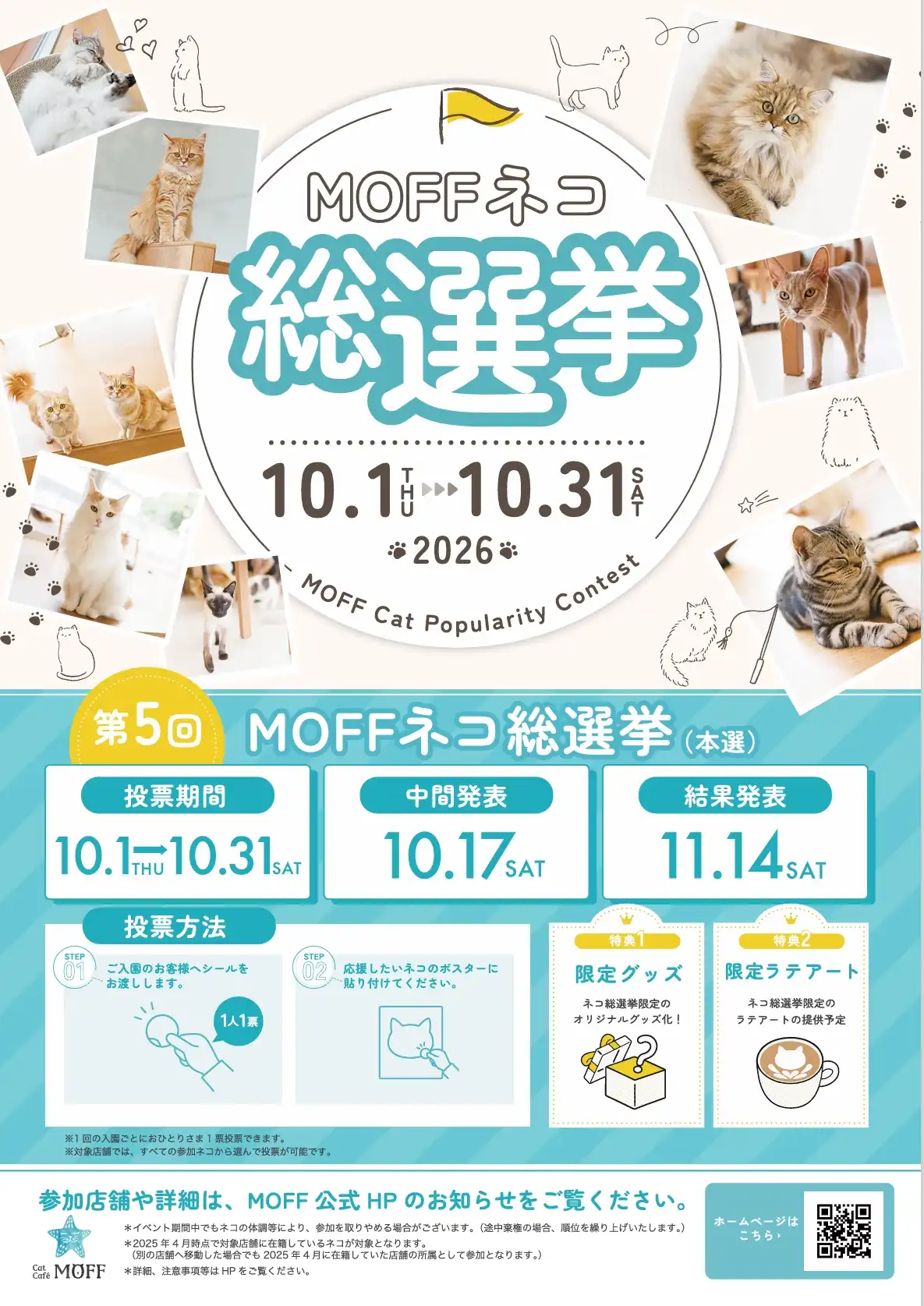 MOFFネコ総選挙本選開催！