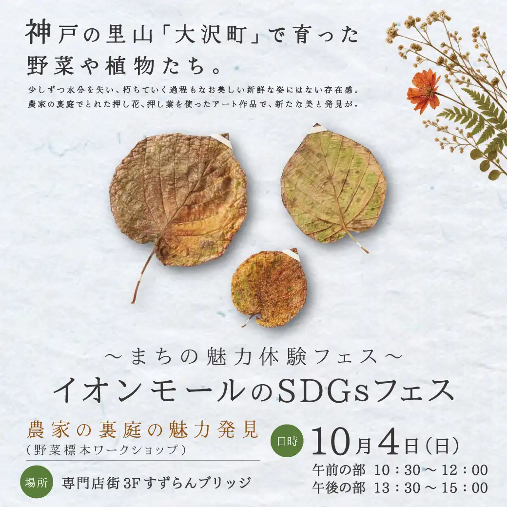 まちの魅力体験フェス － イオンモールの SDGｓフェス ― 