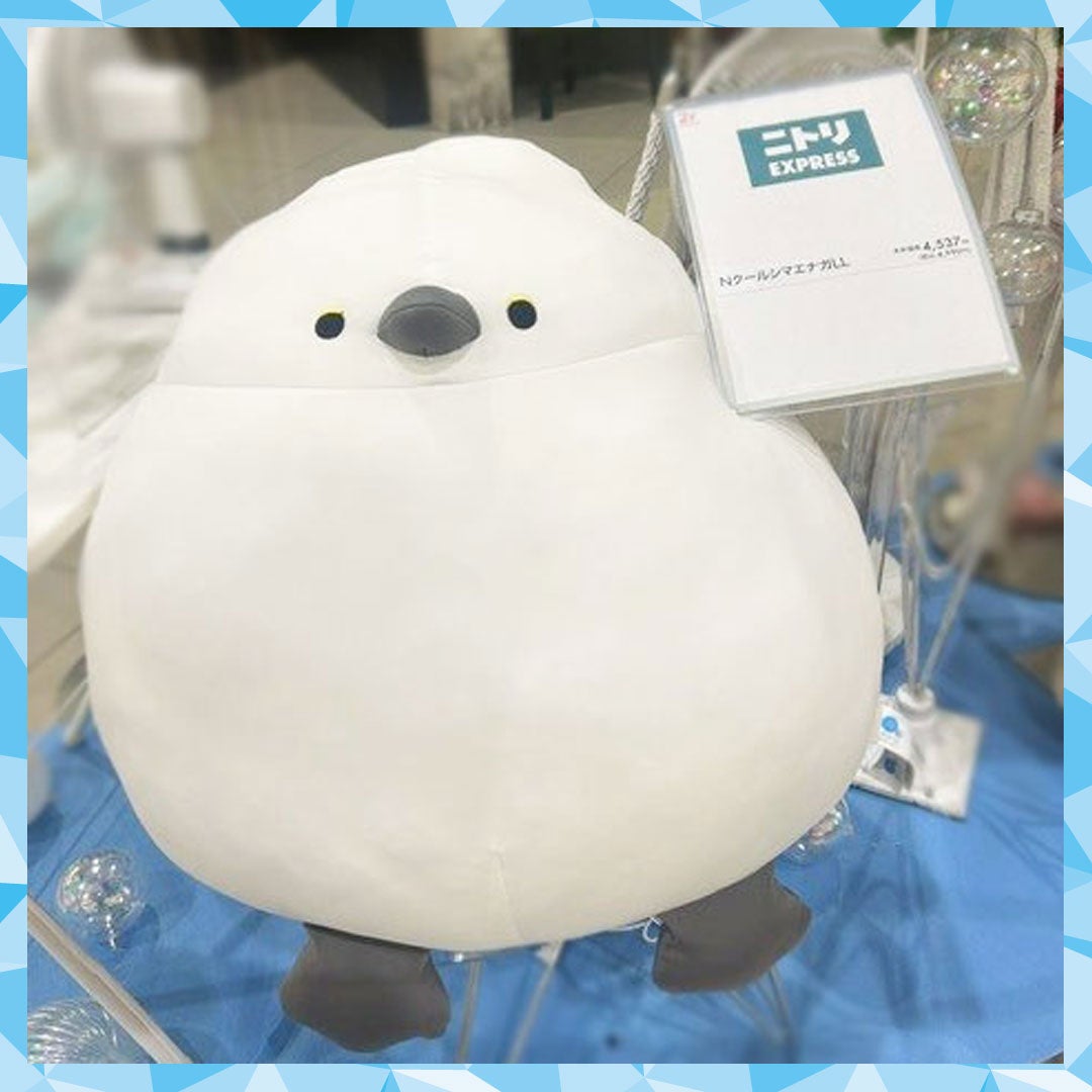 NクールシマエナガLL