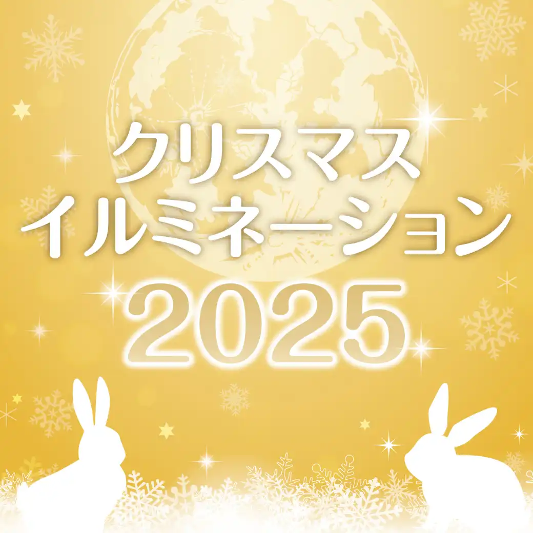 クリスマスイルミネーション 2025