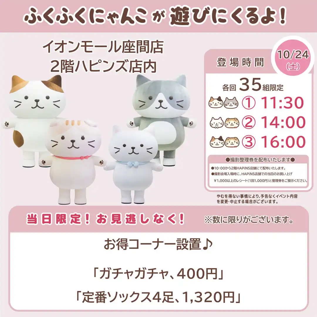 ふくふくにゃんこ撮影会