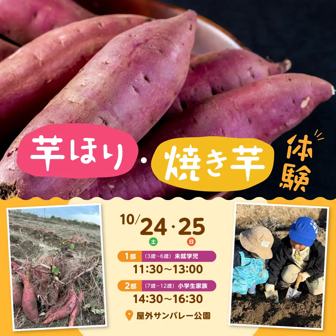 芋ほり・焼き芋体験