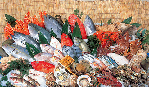 魚力