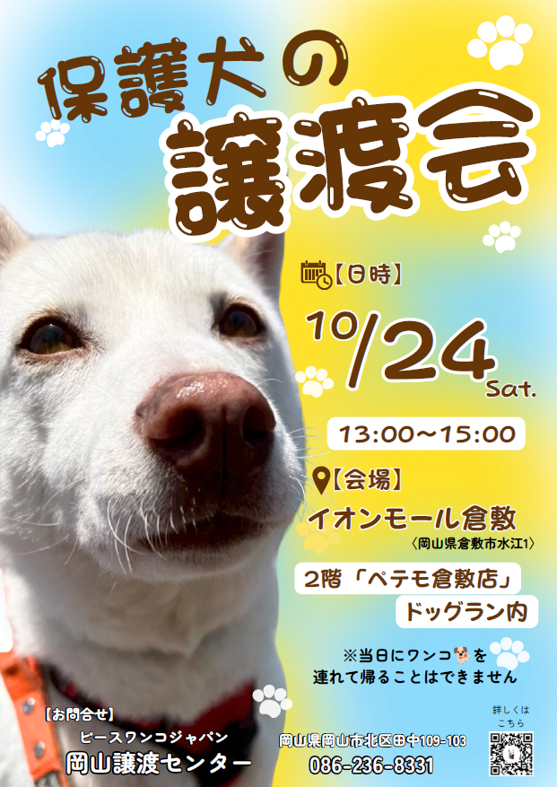 10月24日（土）ぺテモドッグラン内にて譲渡会開催のお知らせ