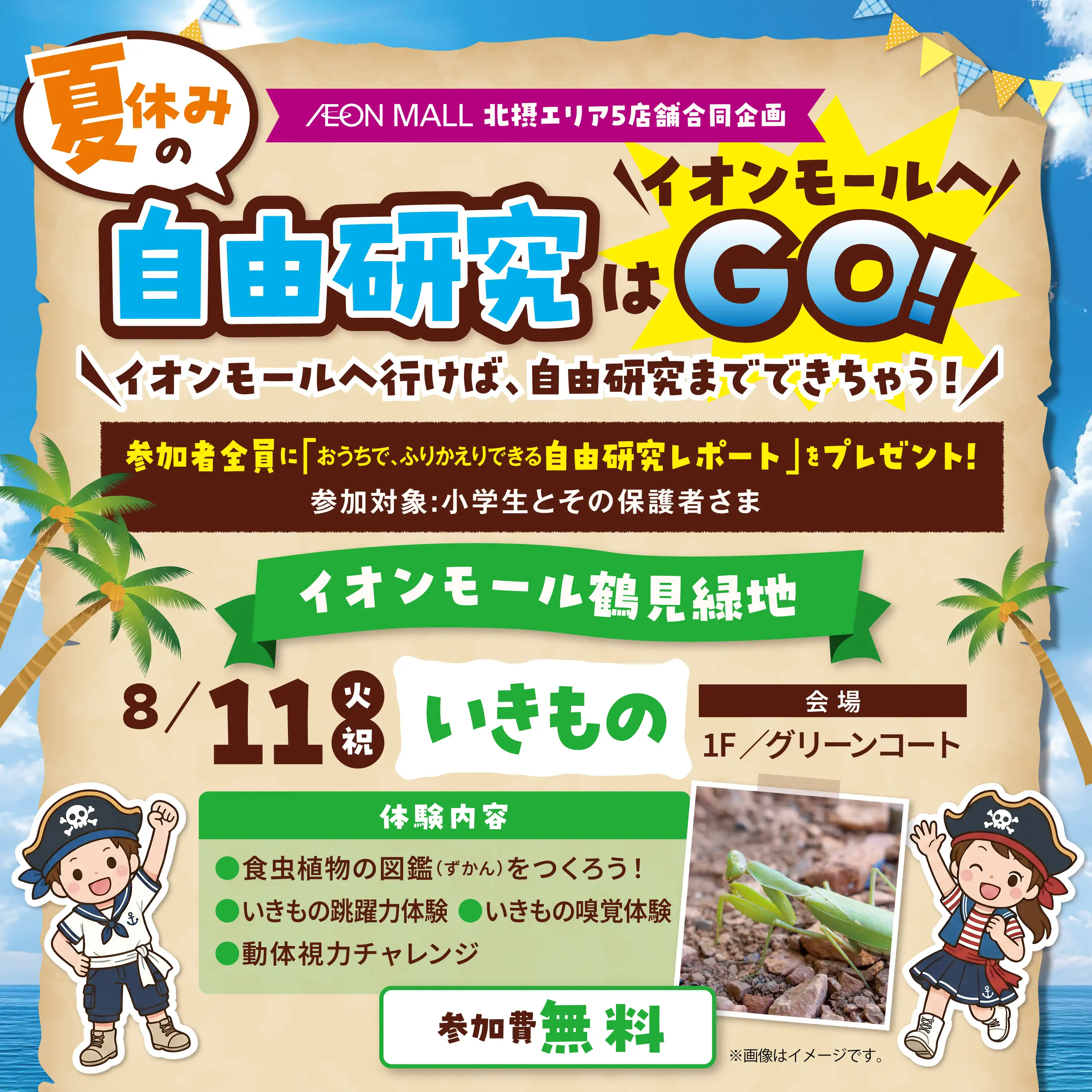 生命の不思議を発見!夏のいきもの自由研究