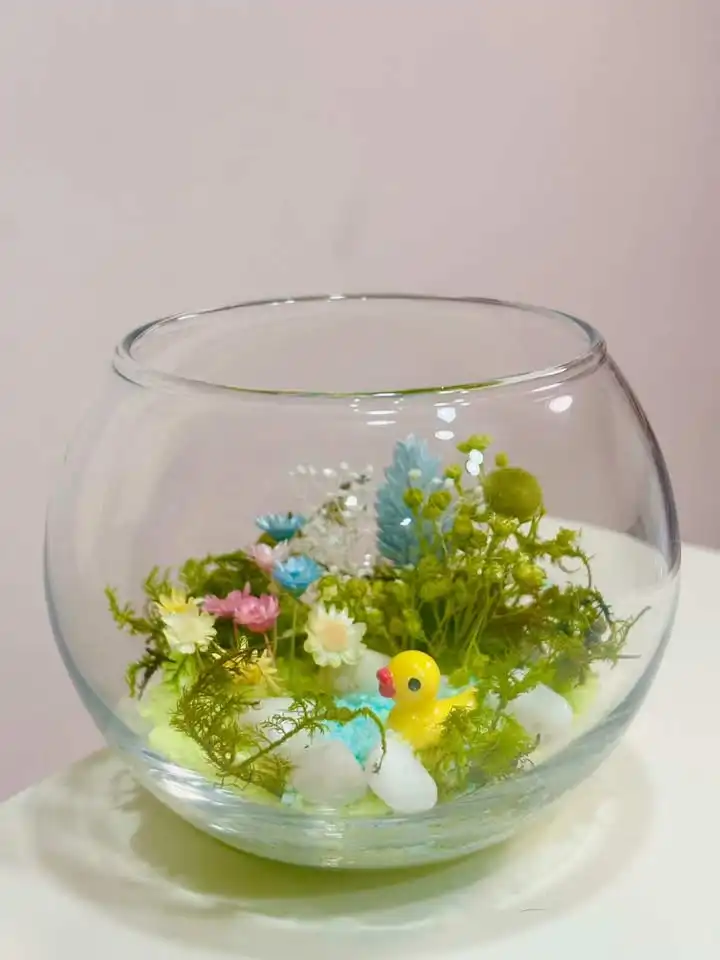 【入会金不要】こども夏休み和苔テラリウム講座　《があこちゃんの水遊び》