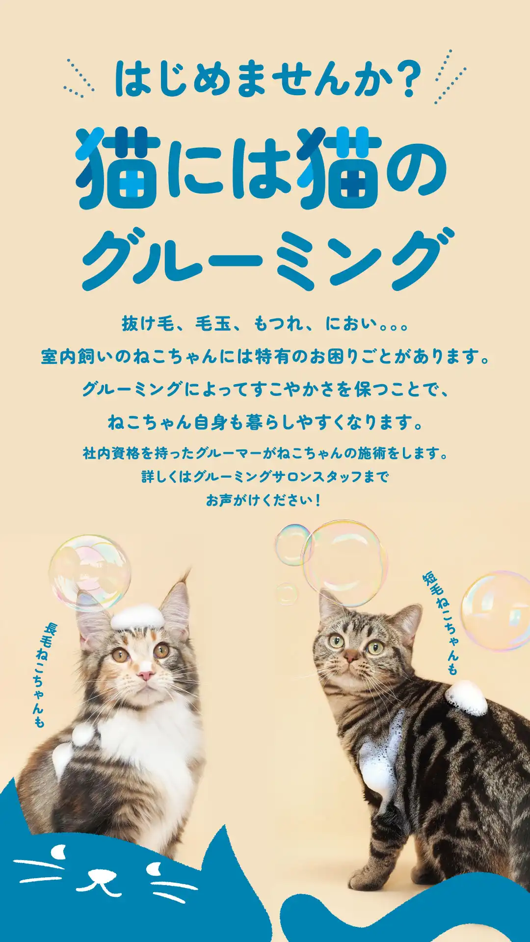 【はじめませんか?猫のためのグルーミング♪】