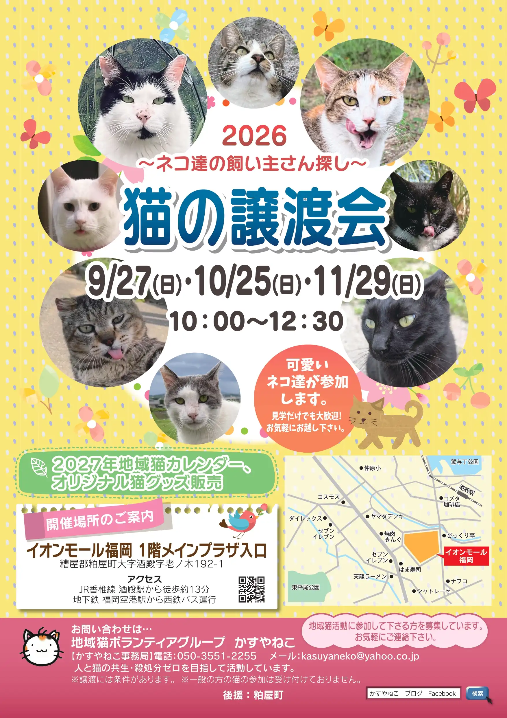 猫の譲渡会