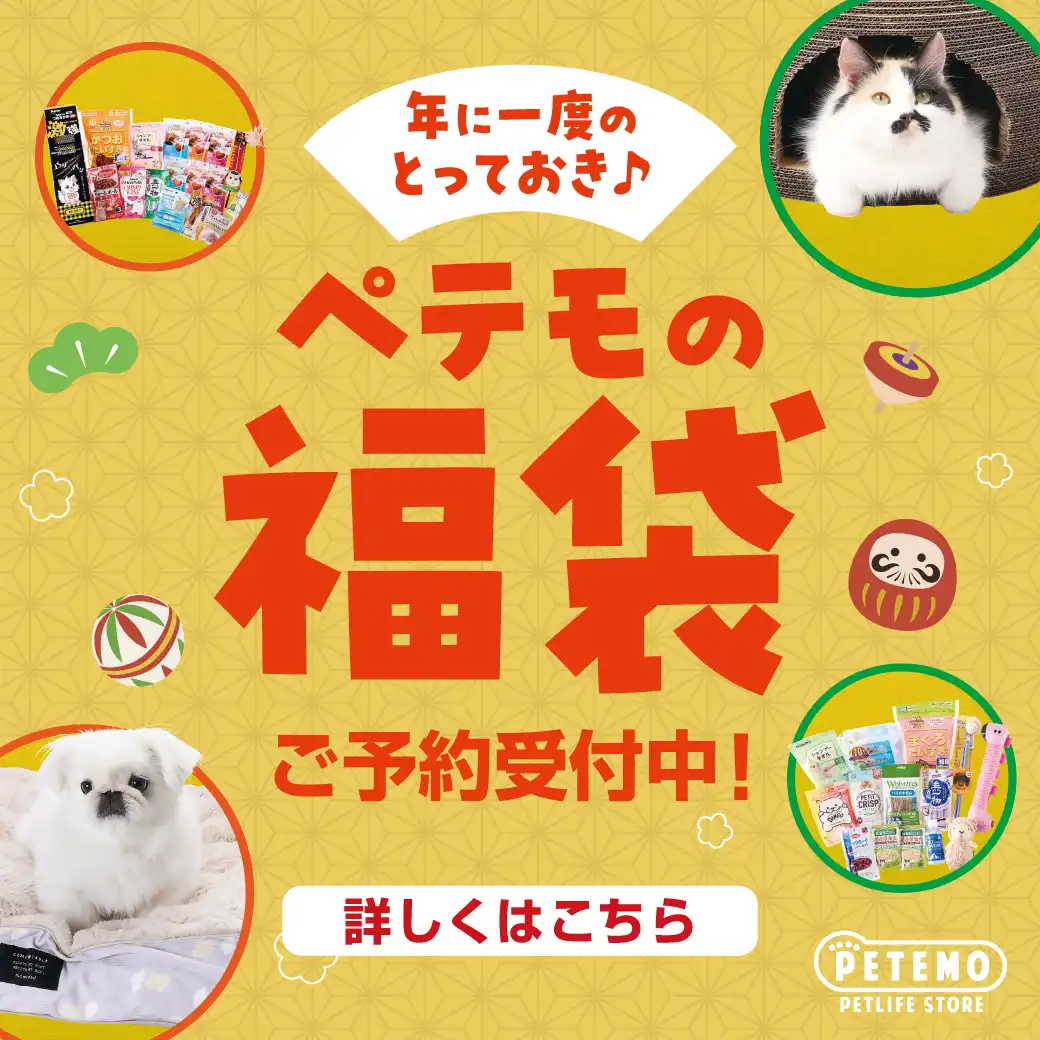 ペテモの福袋2027　ご予約開始！！