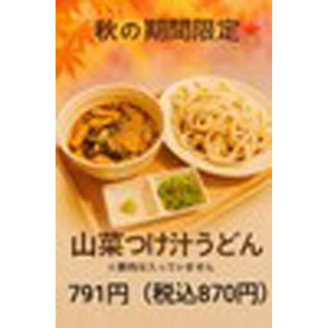 山菜つけ汁うどん		